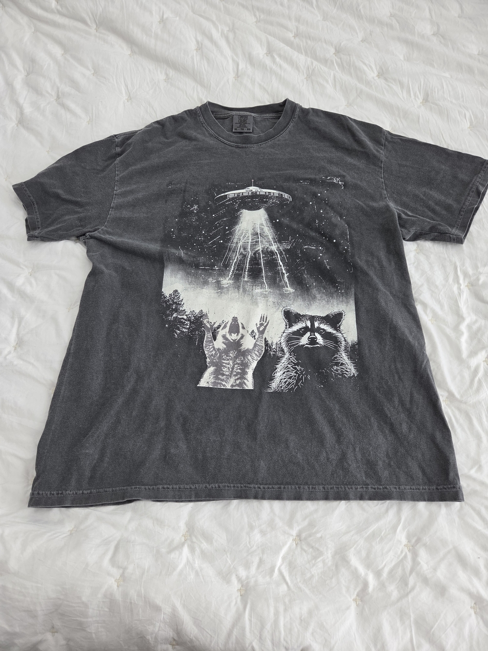 Comfort Colors Black Graphic Tee with Cat & Raccoon UFO Design